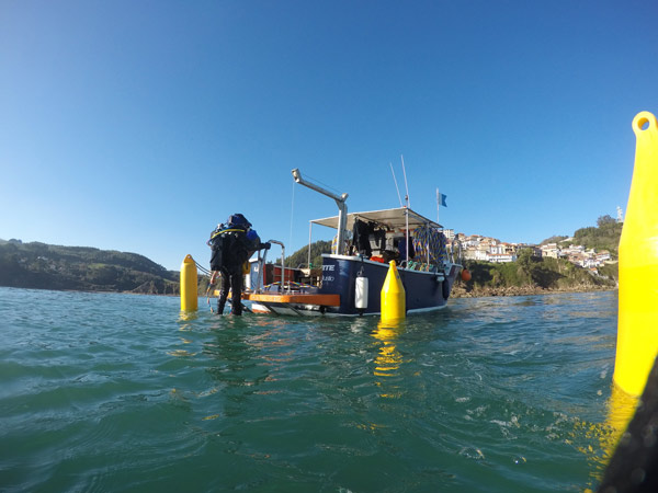 Inspection of seaweed fields