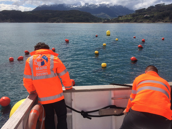 Relocation of seaweed field buoys