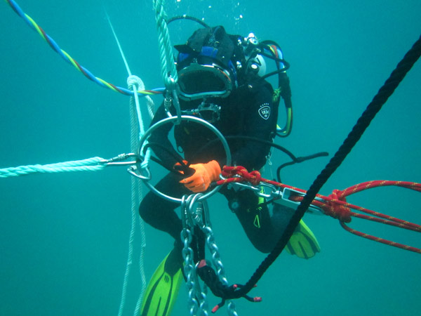 Maintenance of seaweed fields