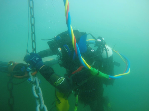 Maintenance of seaweed fields