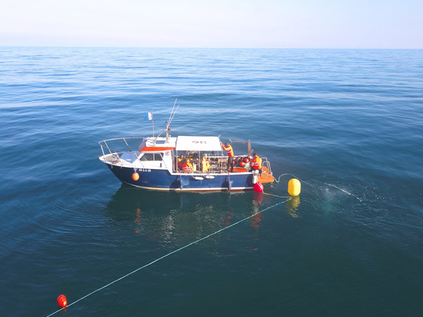 Work from pontoon in seaweed field