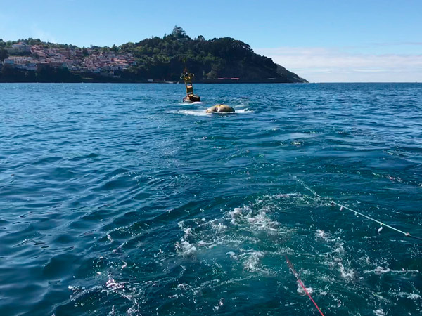 Towing and installation of sewage water pipeline marking buoys and deadman anchors