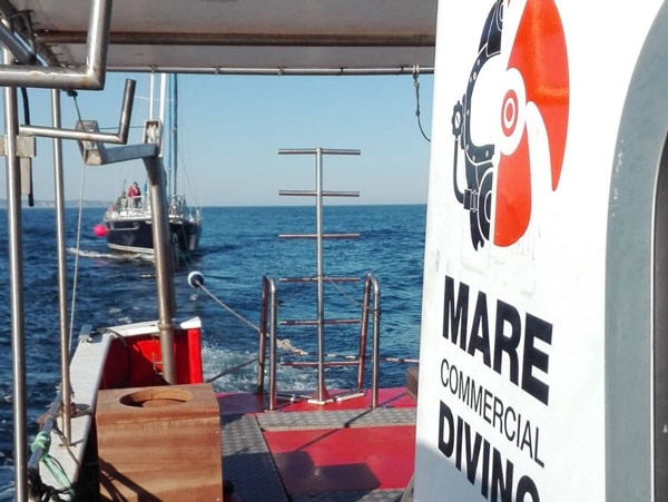 Towing of ships from port to port