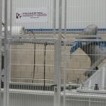 Bollard being tested at pull bed