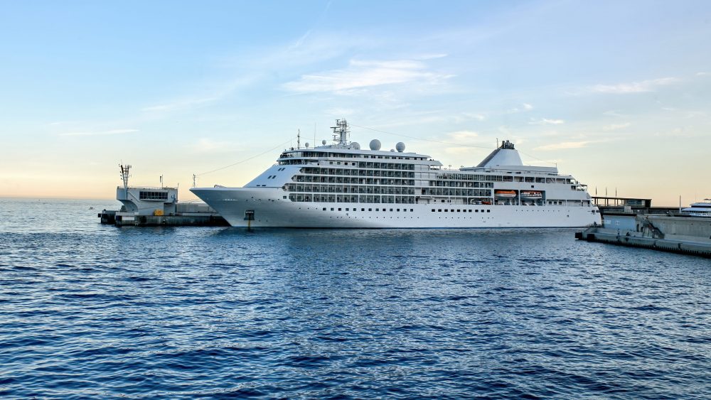 cruise industry in 2021