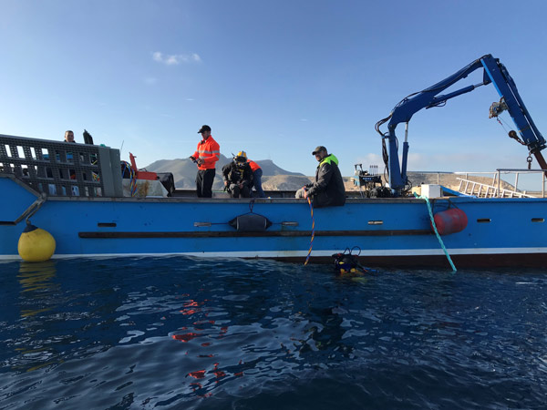 Underwater work on desalination plant catchment inlets