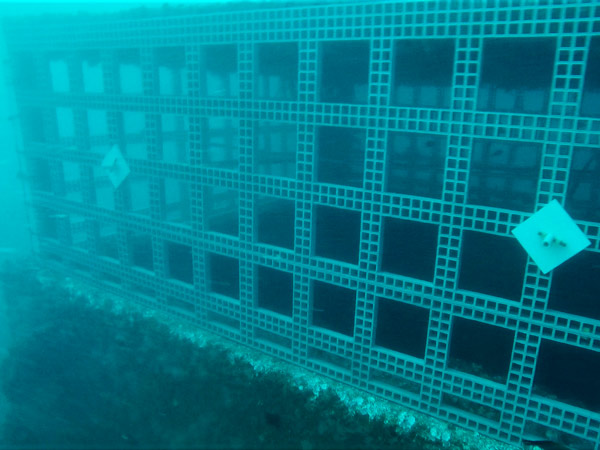 Repair of desalination plant water catchment intakes