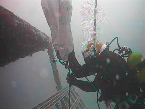 Repair of desalination plant water catchment intakes