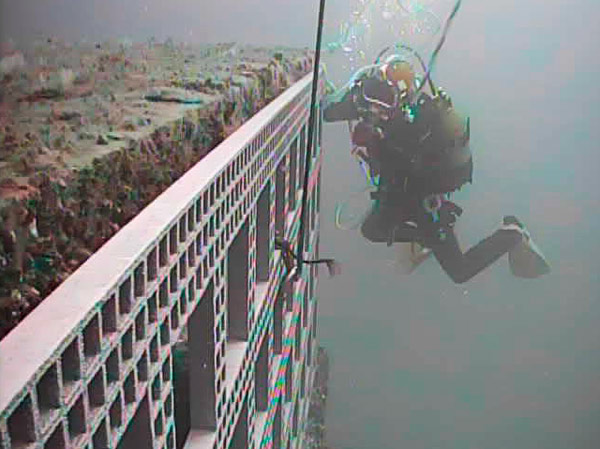 Repair of desalination plant water catchment intakes