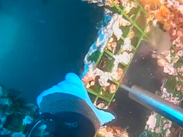 Cleaning of desalination plant water catchment intakes by means of cavitation