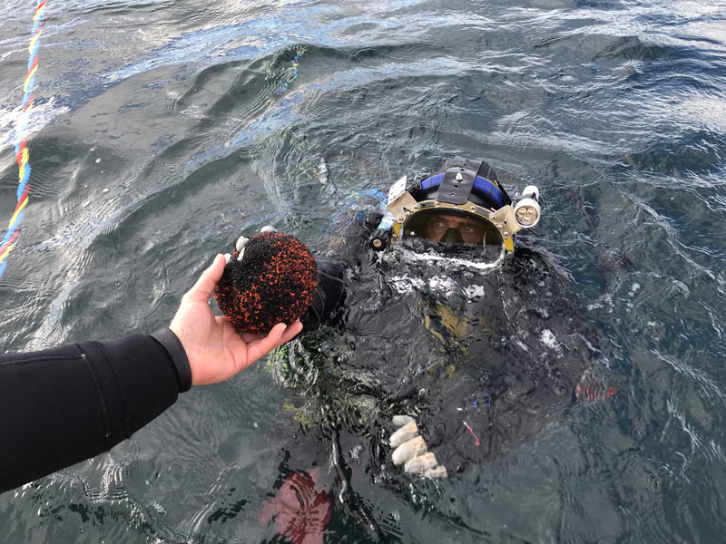 Recovery of leak detecting spheres on the sea end of sewage water pipelines