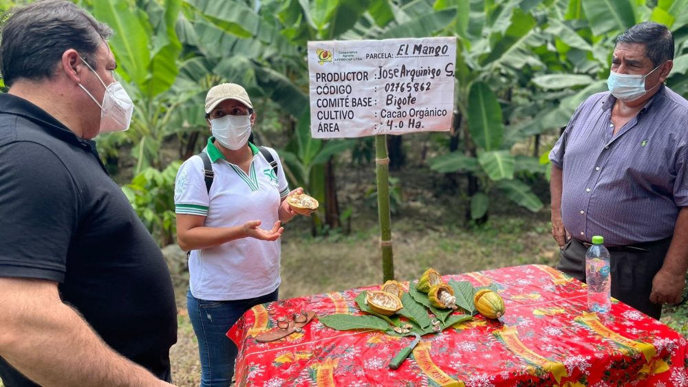 Prosertek colabora con Alboan Alto Pirua