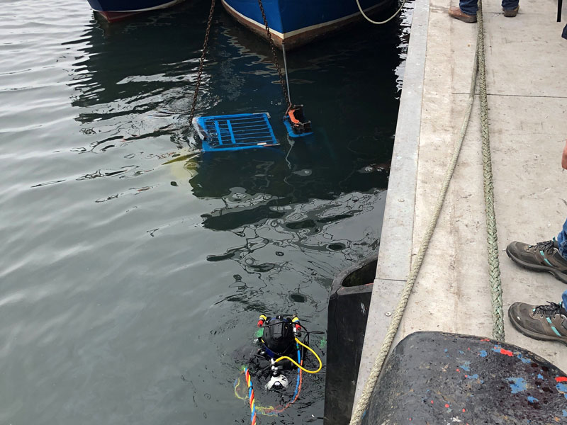 Recovery of forklift trucks from the bottom of the port